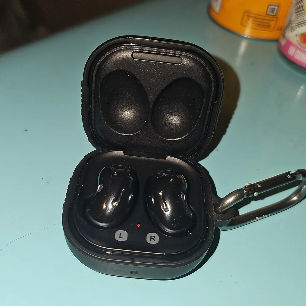 Samsung Wireless Earbud Case